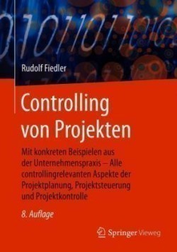 Controlling von Projekten