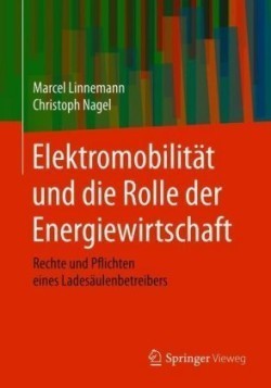 Elektromobilität und die Rolle der Energiewirtschaft