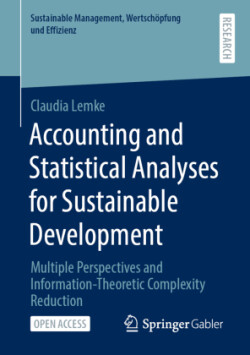 Accounting and Statistical Analyses for Sustainable Development