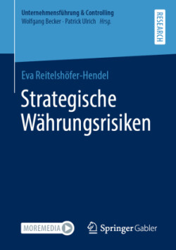 Strategische Währungsrisiken