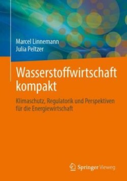 Wasserstoffwirtschaft kompakt