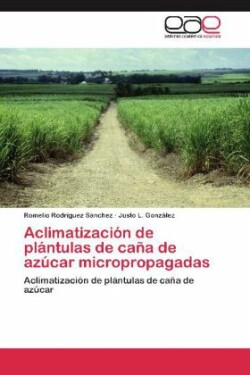 Aclimatizacion de Plantulas de Cana de Azucar Micropropagadas