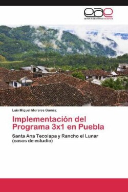 Implementacion del Programa 3x1 En Puebla