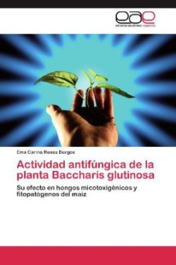 Actividad Antifungica de La Planta Baccharis Glutinosa