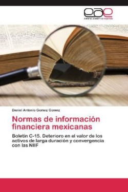 Normas de Informacion Financiera Mexicanas