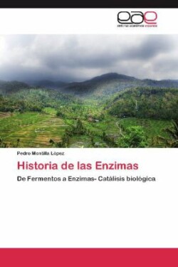 Historia de las Enzimas