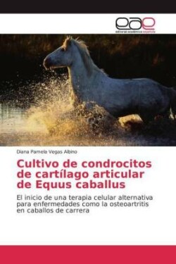 Cultivo de condrocitos de cartílago articular de Equus caballus