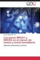 genes BRCA1 y BRCA2 en el cáncer de mama y ovario hereditario