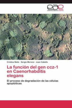 función del gen ccz-1 en Caenorhabditis elegans