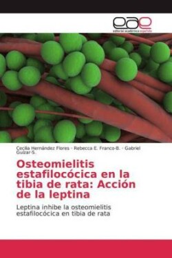 Osteomielitis estafilocócica en la tibia de rata