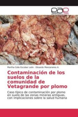 Contaminación de los suelos de la comunidad de Vetagrande por plomo