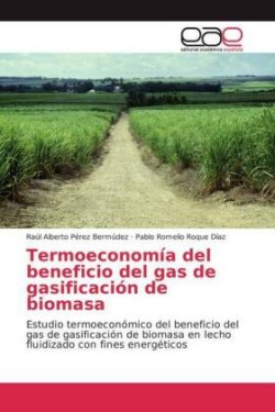 Termoeconomía del beneficio del gas de gasificación de biomasa