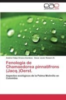 Fenología de Chamaedorea pinnatifrons (Jacq.)Oerst.