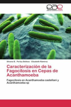 Caracterización de la Fagocitosis en Cepas de Acanthamoeba