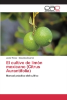 cultivo de limón mexicano (Citrus Aurantifolia)