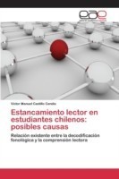 Estancamiento lector en estudiantes chilenos