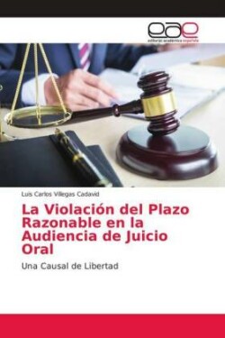 La Violación del Plazo Razonable en la Audiencia de Juicio Oral