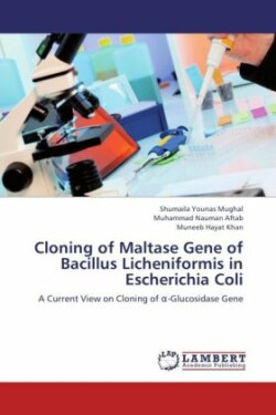 Cloning of Maltase Gene of Bacillus Licheniformis in Escherichia Coli