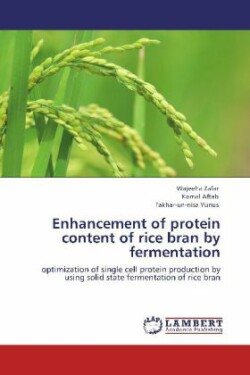 Enhancement of protein content of rice bran by fermentation