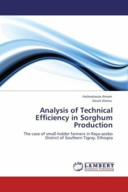 Analysis of Technical Efficiency in Sorghum Production