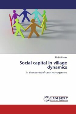 Social capital in village dynamics