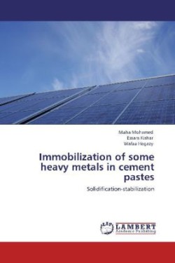 Immobilization of some heavy metals in cement pastes