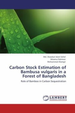 Carbon Stock Estimation of Bambusa vulgaris in a Forest of Bangladesh