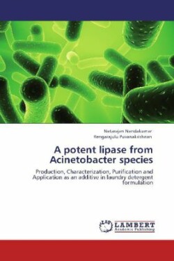 potent lipase from Acinetobacter species