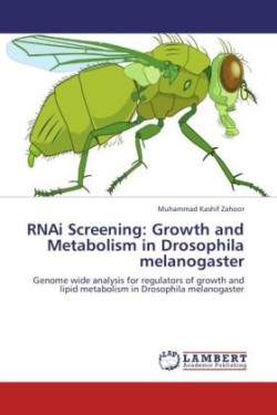 RNAi Screening