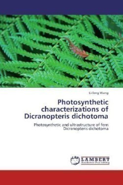 Photosynthetic characterizations of Dicranopteris dichotoma