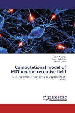 Computational model of MST neuron receptive field