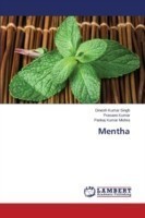 Mentha