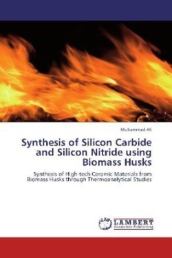 Synthesis of Silicon Carbide and Silicon Nitride using Biomass Husks