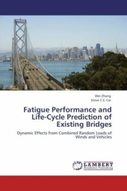 Fatigue Performance and Life-Cycle Prediction of Existing Bridges