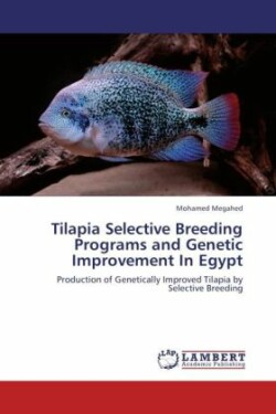 Tilapia Selective Breeding Programs and Genetic Improvement In Egypt