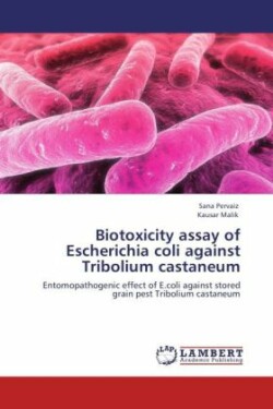 Biotoxicity assay of Escherichia coli against Tribolium castaneum