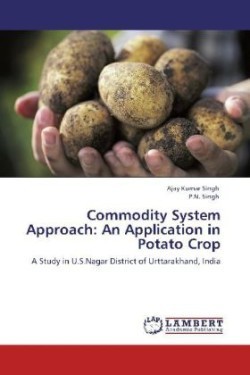 Commodity System Approach