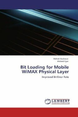 Bit Loading for Mobile WiMAX Physical Layer