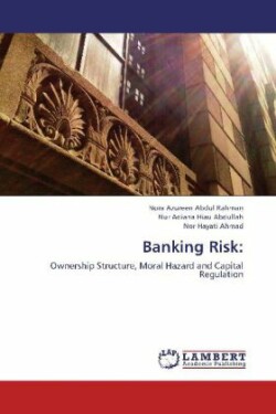 Banking Risk