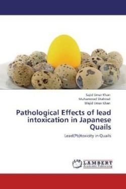 Pathological Effects of lead intoxication in Japanese Quails