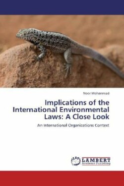 Implications of the International Environmental Laws