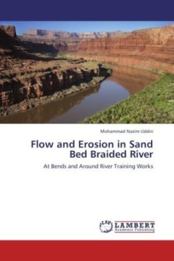 Flow and Erosion in Sand Bed Braided River