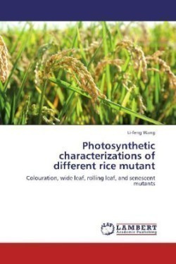 Photosynthetic characterizations of different rice mutant