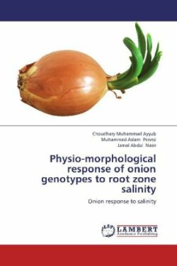 Physio-morphological response of onion genotypes to root zone salinity