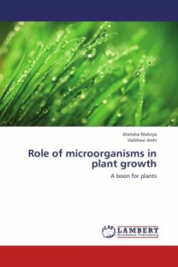 Role of microorganisms in plant growth