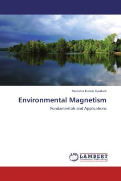 Environmental Magnetism