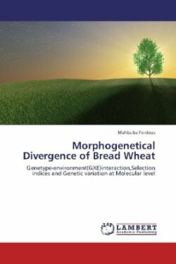 Morphogenetical Divergence of Bread Wheat