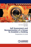 Self Assessment and Reorganization of a Group to Establish a Holding