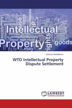 Wto Intellectual Property Dispute Settlement
