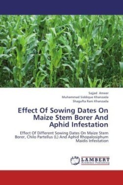 Effect Of Sowing Dates On Maize Stem Borer And Aphid Infestation